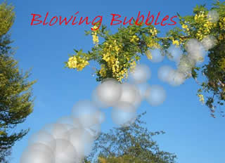 Blowing Bubbles